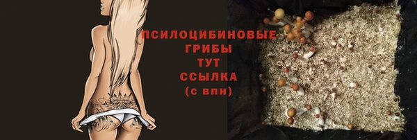 a pvp Арсеньев
