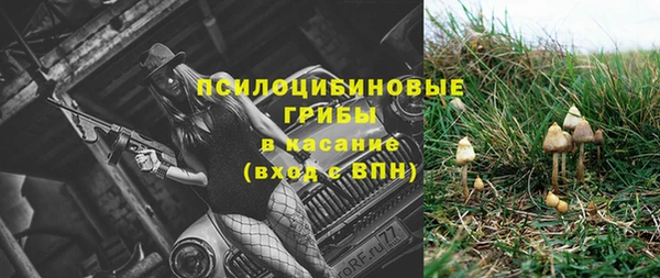 a pvp Арсеньев