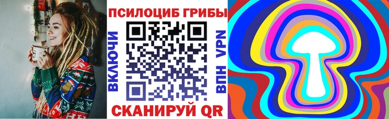kraken зеркало  Саров  Галлюциногенные грибы прущие грибы 