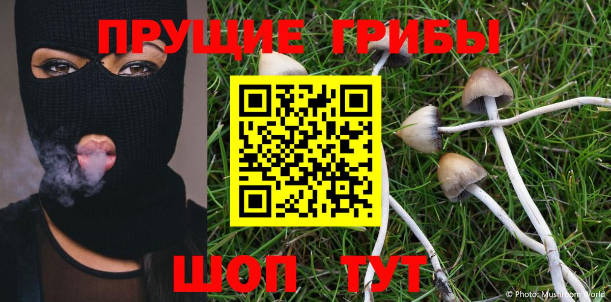 Галлюциногенные грибы Cubensis Саров